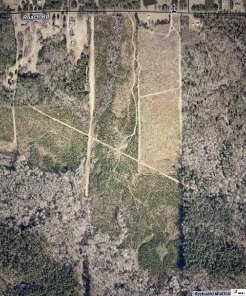 1094 Roach Rd, Choudrant, LA 71227 photo 5