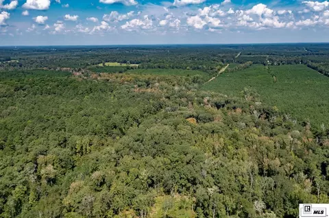 1094 Roach Rd, Choudrant, LA 71227 photo 20