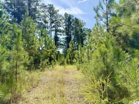 1094 Roach Rd, Choudrant, LA 71227 photo 29