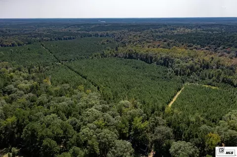 1094 Roach Rd, Choudrant, LA 71227 photo 21