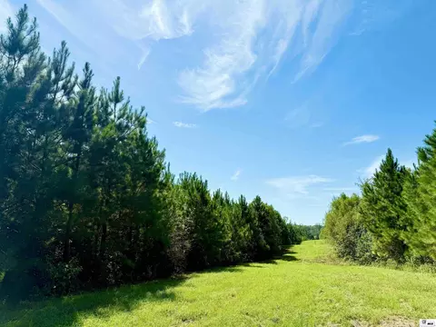 1094 Roach Rd, Choudrant, LA 71227 photo 28