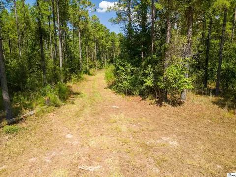 Bradford Road, Choudrant, LA 71227 photo 11