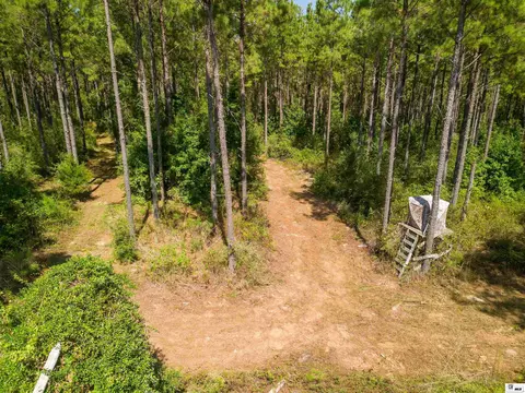 Bradford Road, Choudrant, LA 71227 photo 10
