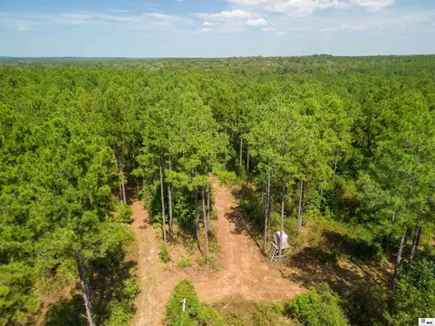 Bradford Road, Choudrant, LA 71227 photo 9