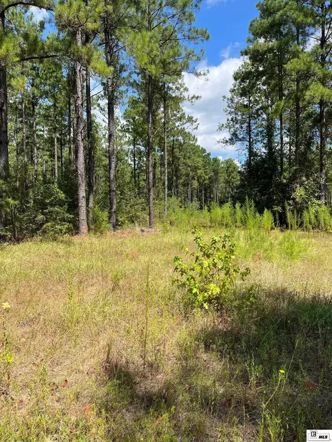 Bradford Road, Choudrant, LA 71227 photo 3
