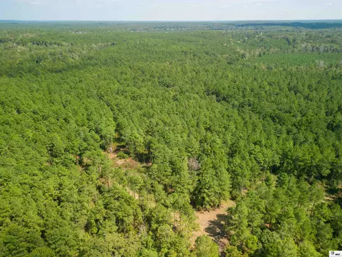 Bradford Road, Choudrant, LA 71227 photo 8