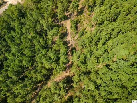 Bradford Road, Choudrant, LA 71227 photo 12