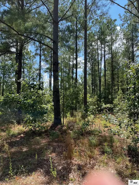 Bradford Road, Choudrant, LA 71227 photo 2