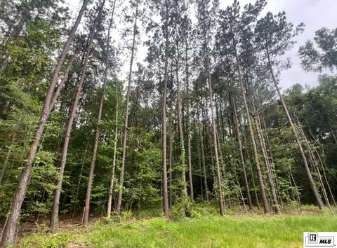 000 Cooper Church Rd, Leesville, LA 71446