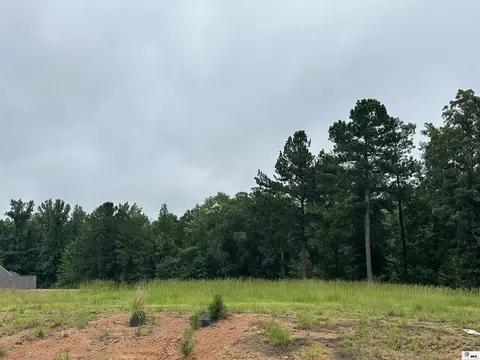 00 Highway 146, Ruston, LA 71270 photo 12