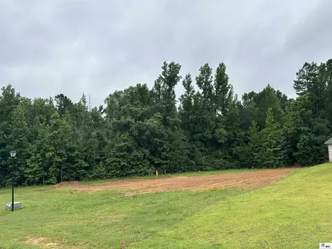 00 Highway 146, Ruston, LA 71270 photo 9