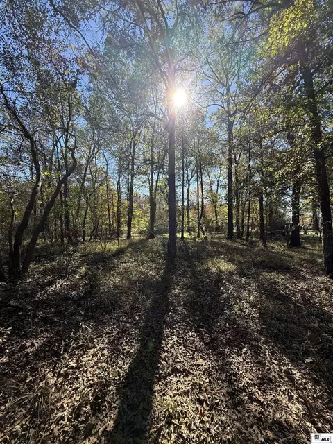 0 Lot 3 Platts Lndg, Bernice, LA 71222