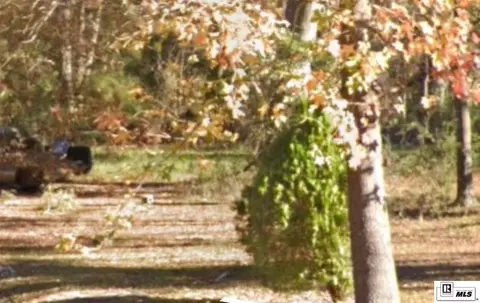 921 Samuel St, Bastrop, LA 71220