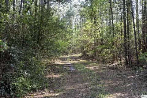 0 Shortstraw Longstraw Rd # C, Choudrant, LA 71227 photo 10