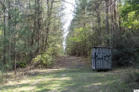 0 Shortstraw Longstraw Rd # C, Choudrant, LA 71227 photo 6
