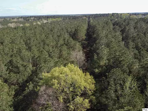 0 Shortstraw Longstraw Rd # C, Choudrant, LA 71227 photo 29