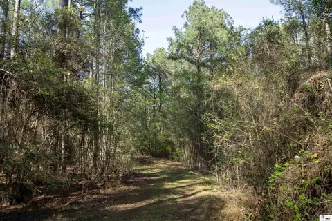 0 Shortstraw Longstraw Rd # C, Choudrant, LA 71227 photo 30