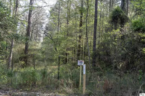 0 Shortstraw Longstraw Rd # C, Choudrant, LA 71227 photo 17