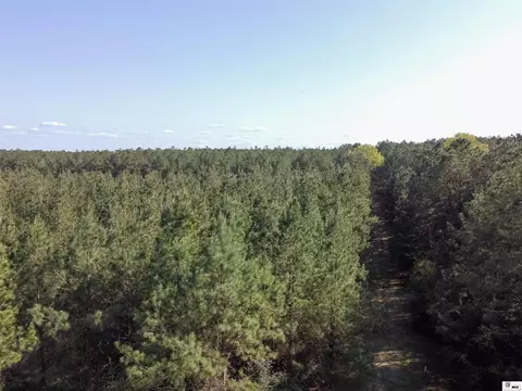 0 Shortstraw Longstraw Rd # C, Choudrant, LA 71227 photo 27