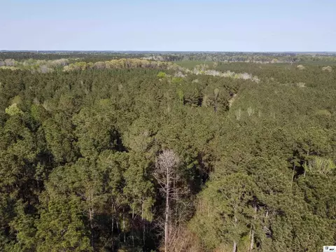 0 Shortstraw Longstraw Rd # C, Choudrant, LA 71227 photo 25