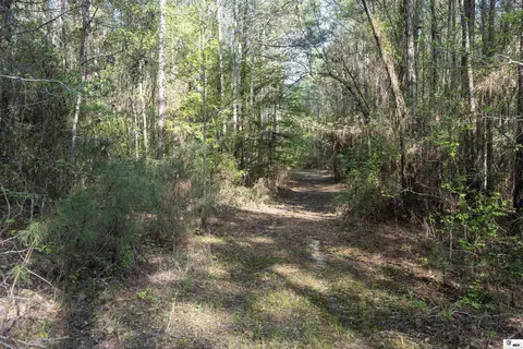 0 Shortstraw Longstraw Rd # C, Choudrant, LA 71227 photo 2