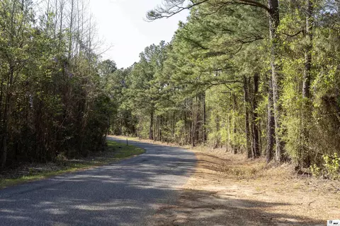 0 Shortstraw Longstraw Rd # C, Choudrant, LA 71227 photo 13