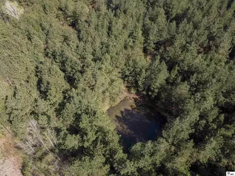 0 Shortstraw Longstraw Rd # C, Choudrant, LA 71227 photo 28