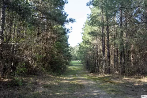 0 Shortstraw Longstraw Rd # C, Choudrant, LA 71227 photo 8