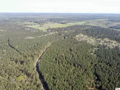 0 Shortstraw Longstraw Rd # C, Choudrant, LA 71227 photo 23