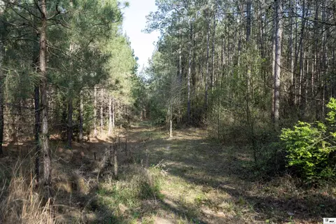 0 Shortstraw Longstraw Rd # C, Choudrant, LA 71227 photo 7