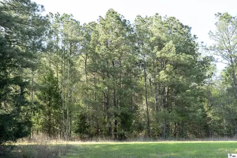 0 Shortstraw Longstraw Rd # C, Choudrant, LA 71227 photo 9