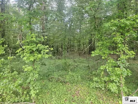 0 Garret Rd, Monroe, LA 71202 photo 3