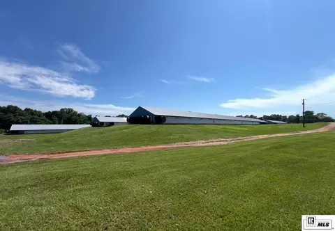 999 Double Bridge Rd, Dubach, LA 71235 photo 13