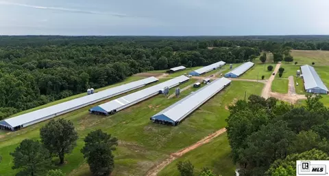 999 Double Bridge Rd, Dubach, LA 71235 photo 5