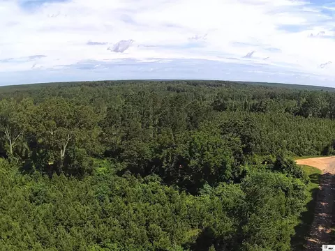 000 Double Bridge Rd, Bernice, LA 71277