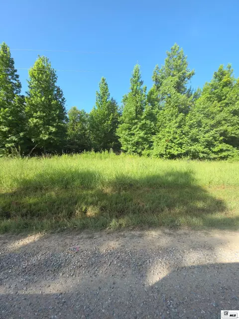 lot19 Tarver Rd, Mangham, LA 71259