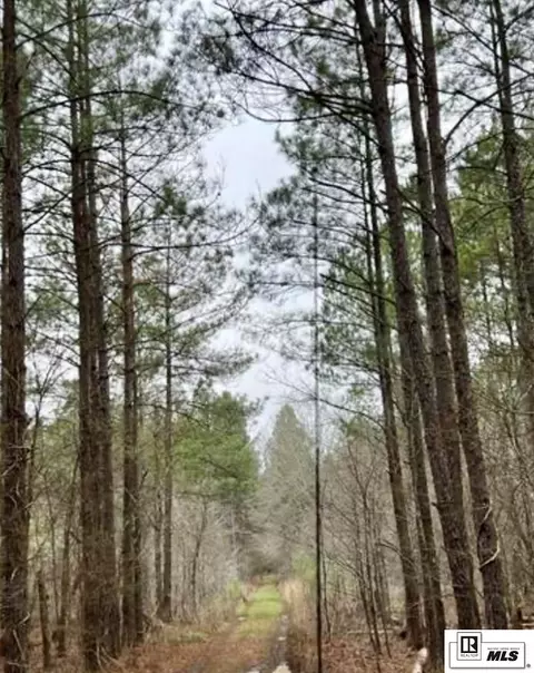 00 Gourd Bayou Rd, Monroe, LA 71202