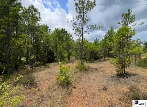000 Madden Rd, Ruston, LA 71270 photo 4