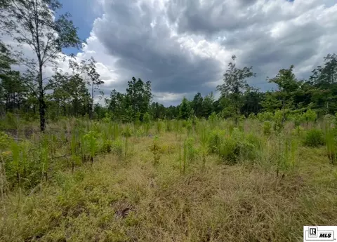 000 Madden Rd, Ruston, LA 71270 photo 5