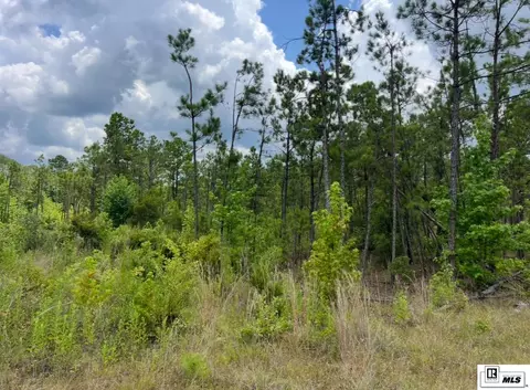 00 Madden Rd, Ruston, LA 71270 photo 4
