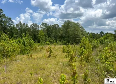 0 Madden Rd, Ruston, LA 71270 photo 9