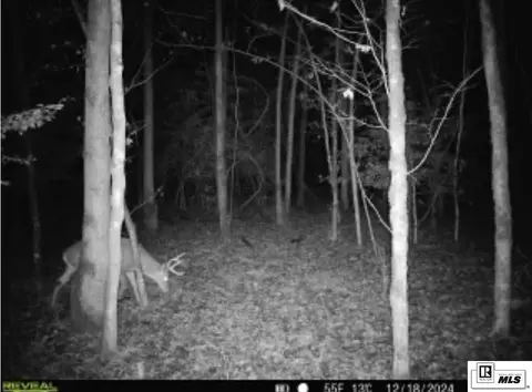 00 Jinks Rd, Bernice, LA 71222 photo 5