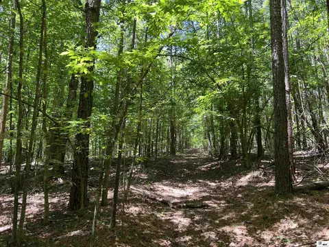 00 Jinks Rd, Bernice, LA 71222