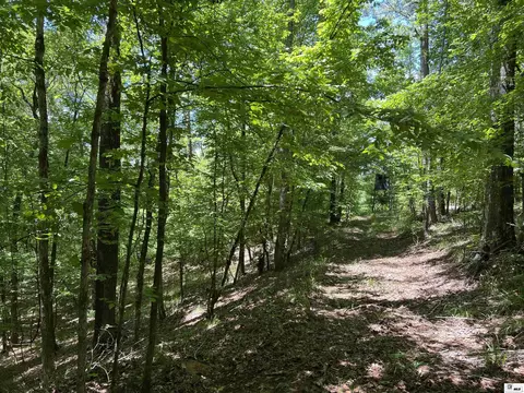 00 Jinks Rd, Bernice, LA 71222 photo 4