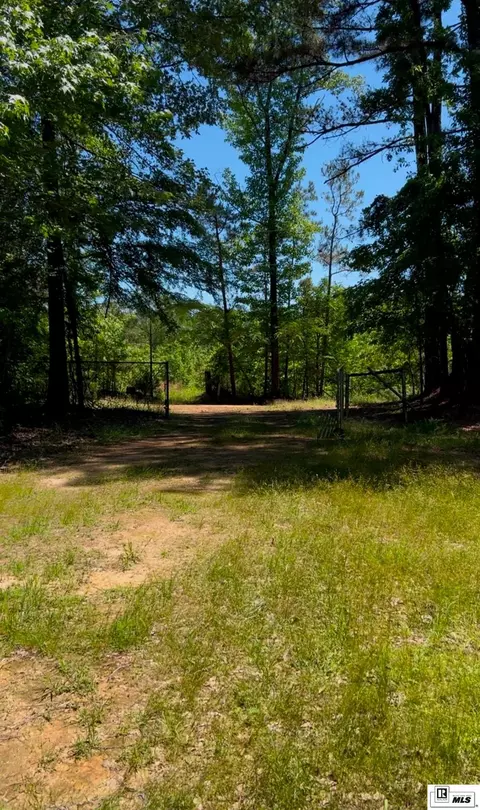 00 Jinks Rd, Bernice, LA 71222 photo 2