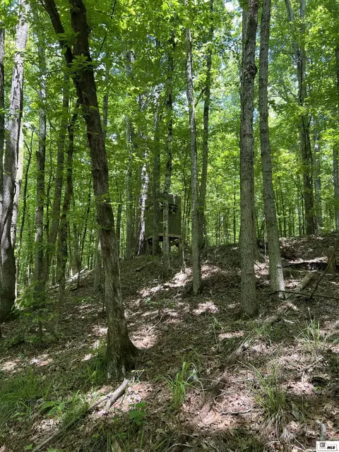 00 Jinks Rd, Bernice, LA 71222 photo 3