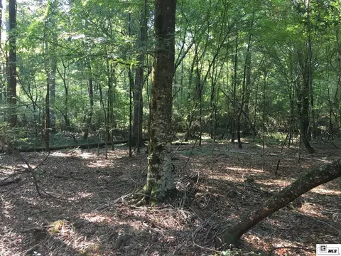 000 Highway 552, Downsville, LA 71234