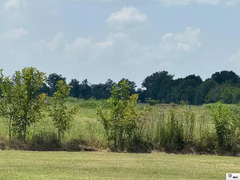 52 Acres Highway 583, Rayville, LA 71269