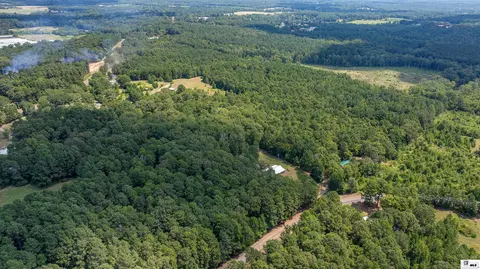 View/Area - 281 Williams Rd, Downsville, LA 71234 photo 1 of 2