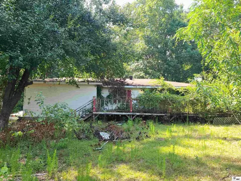396 Highway 145, Downsville, LA 71234 photo 8